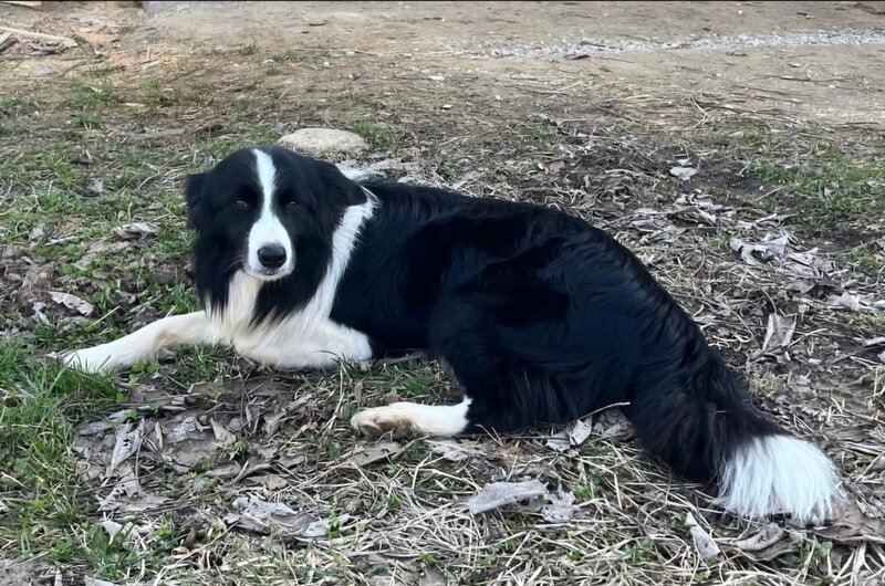 Ajutor! M-am pierdut!