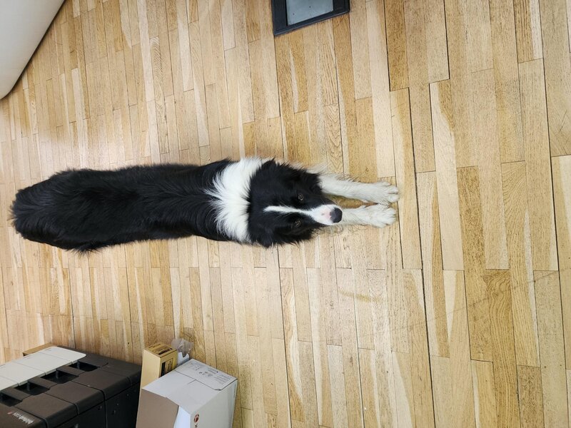 Ajutor! M-am pierdut!