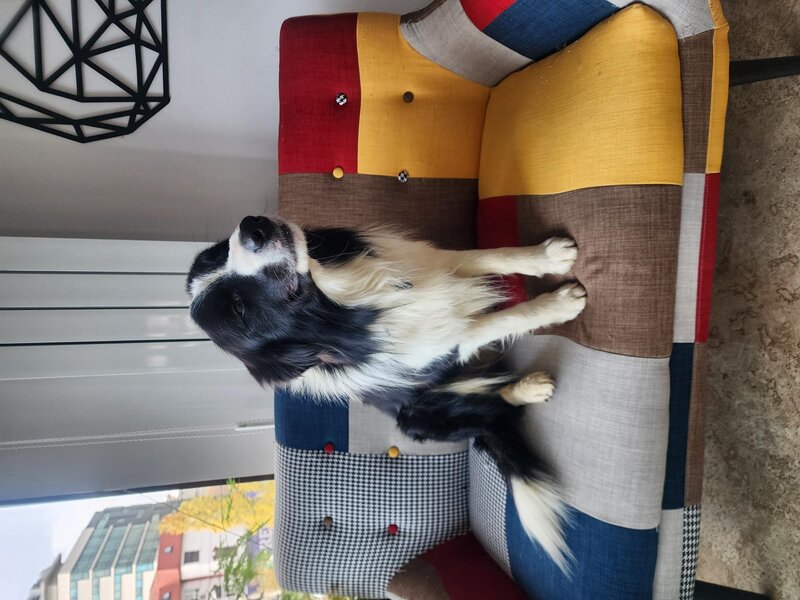 Ajutor! M-am pierdut!