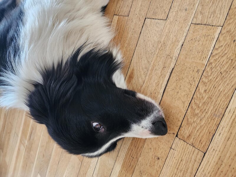 Ajutor! M-am pierdut!